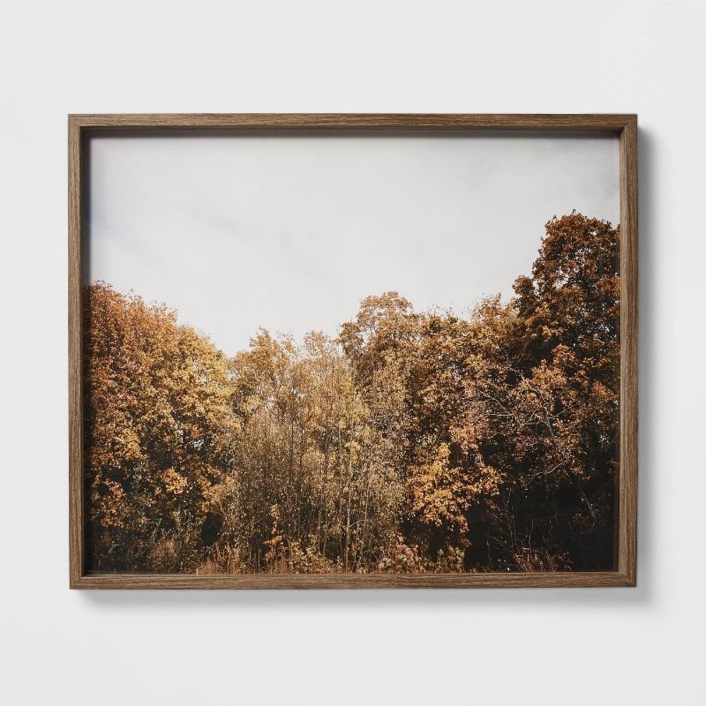 STUDIO MCGEE 36" x 30" Golden Forest Framed Wall Art: Modern Decor, MDF & Glass